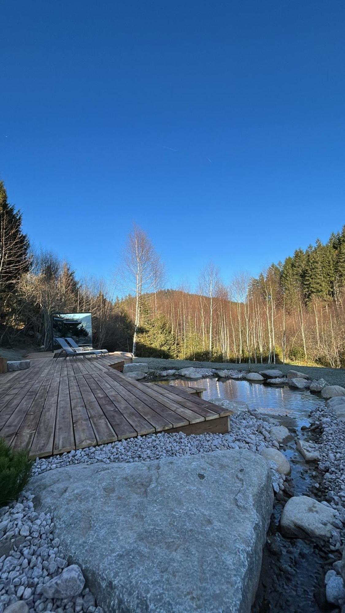 Hotel Domaine Les Terres Bleues Xonrupt-Longemer Esterno foto