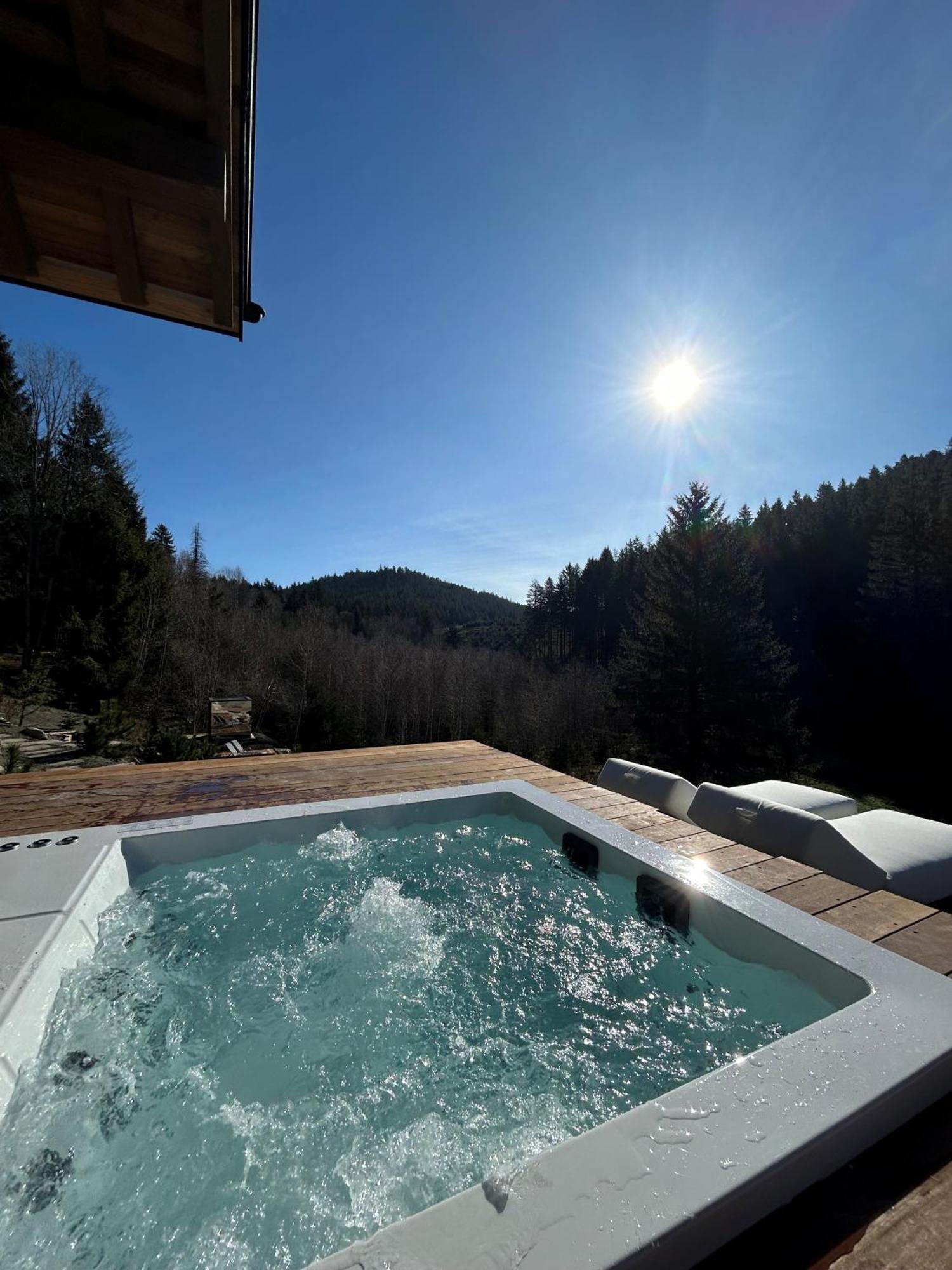 Hotel Domaine Les Terres Bleues Xonrupt-Longemer Esterno foto